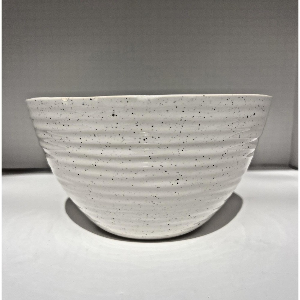 Serving Bowl Speckled Stoneware Ramen Pasta Ribbed Ceramic‎ Modern Kitchen Dish